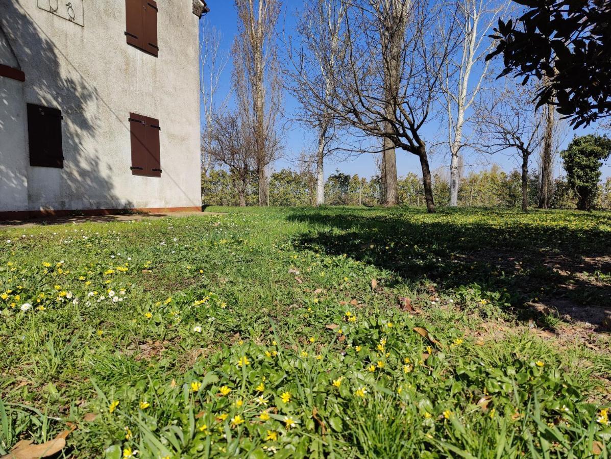 Вилла Ca Degli Aironi Cittanova  Экстерьер фото