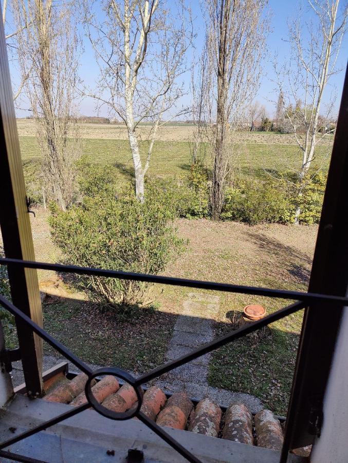 Вилла Ca Degli Aironi Cittanova  Экстерьер фото